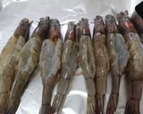 Foto langkah ke 3 dari resep Udang butter garlic.