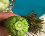 Foto del paso 2 de la receta Salmuera: La técnica tradicional de las iaias