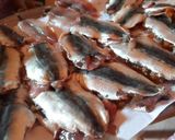 Une image de l'étape 3 de Sardine farcis a la sauce tomate.