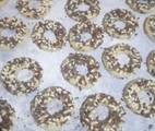 2 Rosquitas Armenias