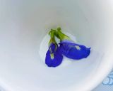 A picture of step 1 of BLUE TEA | Blue Butterfly Pea Flower Herbal Tea.