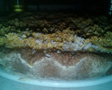 Foto del paso 6 de la receta: Tarta integral de coco, crema de dulce de leche !!!