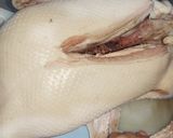 Foto langkah ke 2 dari resep Bebek Peking Panggang (BBQ) anti amis, empukkkk banget 💜.
