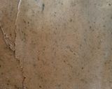 புதினா சப்பாத்தி(mint chapati recipe in tamil) ரெசிபி ஸ்டேப் 2 புகைப்படம்