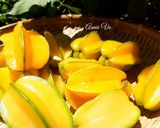 Hình bước làm 6 của món Mâm cơm ngon với các món khế nhà trồng