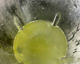 Foto del paso 4 de la receta: Limonada frozen con hierbabuena