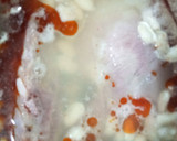 Foto del paso 5 de la receta: Fabada Asturiana