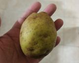 Foto langkah ke 1 dari resep Potato Rosti.