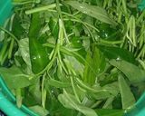 Foto langkah ke 1 dari resep Kangkung terasi super pedas.