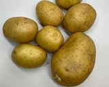 Foto del paso 1 de la receta: Filetes Rusos Al Pacino