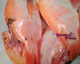 Foto langkah ke 1 dari resep Resep Ikan Nila Terbang dengan Sambal Tomat Terasi #w5.