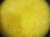 Khushk Maash Ki Dal
