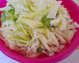 KÁPOSZTALEVES, AVAGY A GYORS ZSÍRÉGETŐ DIÉTA recept fázis 1 fotója