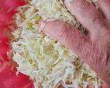 Foto del paso 3 de la receta: Chucrut o repollo blanco fermentado 🇩🇪 Sauerkraut (col agria) ♥ Probióticos 🇩🇪 Alemania