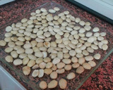 Foto del paso 1 de la receta: Turrón de Guirlache de Aragón (Dulces de Navidad-3)