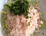A picture of step 5 of Gyoza (Japanese Dumplings).