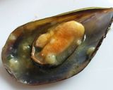Foto del paso 7 de la receta Mejillones en salsa verde