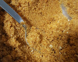 Foto del paso 1 de la receta: Tarta de mousse de fresa