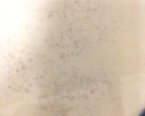 Foto del paso 1 de la receta: Avena de cuchara