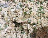 કાચા કેળાંના થેપલા(Raw banana thepla recipe in Gujarati) રેસીપી સ્ટેપ2ફોટો