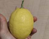 Foto del paso 1 de la receta: Bizcocho limón y cerveza