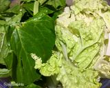 Foto langkah ke 3 dari resep Sapo Tahu Jamur.