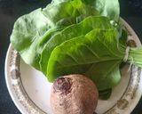 બીટ પાલક નો જ્યુસ (beet spinach juice recipe in Gujarati) રેસીપી સ્ટેપ1ફોટો