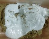 Foto del paso 4 de la receta: GIRACOL "mantecol" casero de girasol
