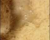 Foto del paso 1 de la receta: Empanadas de queso! ÚNICAS Superfácil
