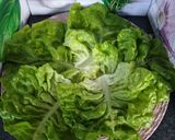 Une image de l'étape 2 de Salades 🥗 fraîcheurs Macédoine thon 😋 #mai.