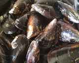 Foto del paso 1 de la receta: Mejillones a la valenciana