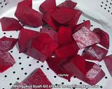Foto langkah ke 1 dari resep Puding Buah Bit (Tips mengurangi bau langu pada buah bit).