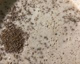 Foto del paso 5 de la receta: Rollicos de San Blas (típicos en Lorca) el 3 de Febrero