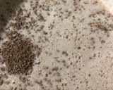 Foto del paso 5 de la receta: Rollicos de San Blas (típicos en Lorca) el 3 de Febrero