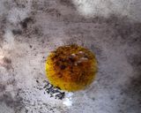 A picture of step 1 of Egg Maggi.