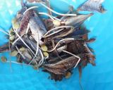 Foto langkah ke 2 dari resep Ikan peda/klotok cabai hijau.