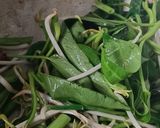 Foto langkah ke 2 dari resep Tumis Kangkung Toge.