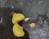 Foto langkah ke 1 dari resep Mi kuah telur.