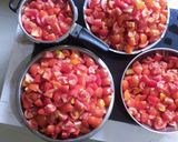 ટોમેટો સોસ (Tomato Sauce Recipe In Gujarati) રેસીપી સ્ટેપ1ફોટો