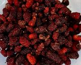A picture of step 1 of Mulberry Shots.
