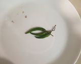 A picture of step 7 of Kadhai Chicken Indian Restaurant Style.