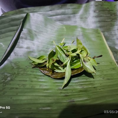 Langkah 4