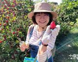 植物界紅寶石,在家DIY超簡單「洛神花蜜餞」的食譜步驟10照片