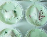 Foto langkah ke 5 dari resep Buko Pandan with Creamy Fla.