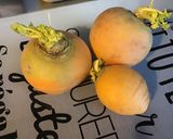 Une image de l'étape 4 de Navets boule d or à la tomate et porc noir effiloché.