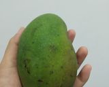 Foto langkah ke 1 dari resep Mango smoothies.
