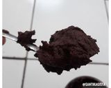 Foto langkah ke 2 dari resep Chocolate Pudding With Vla.