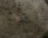 A picture of step 2 of Ambal.