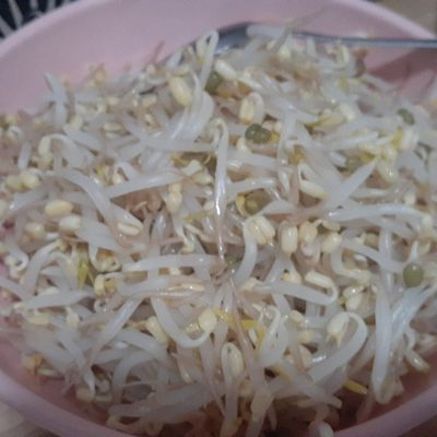 Langkah 10