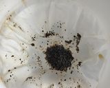 Foto langkah ke 5 dari resep Roasted Milk Tea.